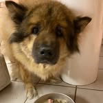 Janet Rast - @rast1199 - Instagram