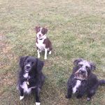 Jane Ratcliffe - @thejaneratcliffe - Instagram