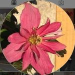 Janet Ratcliffe - @r31janets_ - Instagram