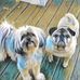 Janet Ratcliffe - Facebook