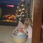 Janet Rawdin - @rawdinjanet - Instagram