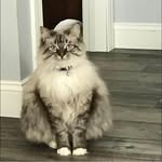 Janet Ready Lindfield - @jlindfield63 - Instagram