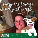 Janet Redden - @janetanderson9380 - Instagram