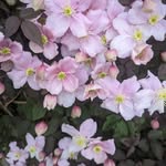 Janet Redden - @j2809r - Instagram