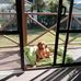 Jan Redfern - Facebook