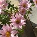 Janet Reisinger - Facebook