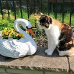 Janet Redshaw - Facebook