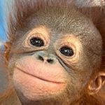 Janet Reeder - @jreeder38 - Instagram