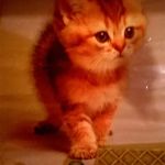Janet Reeves - @janet.reeves.3958 - Instagram