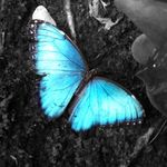 Janet Reichenbach - @janetreichenbach - Instagram