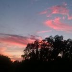 Janet Rettig Kenworthy - @janetrettig - Instagram
