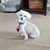 Janet Rettig Kenworthy - Facebook