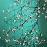Janet Rhee - @rheejanet - Instagram