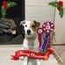 Janet Rhoades - Facebook
