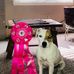 Janet Rhoades - Facebook