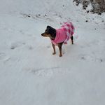 Janet Rhoads McConnell - @janlee1454 - Instagram