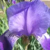 Janet Coles-Rickard - @user027008270 - TikTok