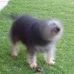 Janet Rickard - Facebook