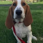 Janet Louise - @janet.ridder.9 - Instagram