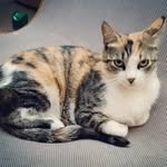 Janet Rieger - @rieger1133 - Instagram