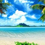 Janet Rizzo Donnell Ritz - @jmdonnell17 - Instagram