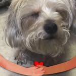 Janet Roach - @brsalesmiami - Instagram
