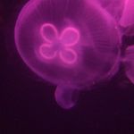 Janet - @janet_robichaud - Instagram