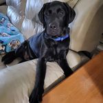 Janet Robichaud - @ollyjax - Instagram