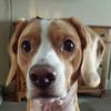 janetrobichaud682 - @janetrobichaud682 - TikTok