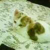Janet Robinson - @janet_robinson - TikTok