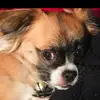 JRock - @janet.robinson27 - TikTok