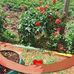Janet Rono - Facebook