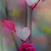 janeteroyer0gmail.com - @janeteroyer0gmail.com - TikTok