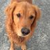 Janet Ruddy - Facebook