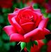 Rumky Jannat - Facebook