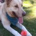 Janet Rupp - Facebook