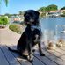 Janet Rupp - Facebook