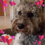 Janet Benko - @janet.rushton1 - Instagram