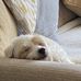 Janet Rushton - Facebook