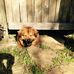 Janet Botor Rutledge - Facebook