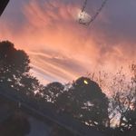 Janet Rutledge - @janet.rutledge.161 - Instagram