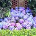 Janet Ruzycki - Facebook