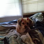 Janet Sandifer - Facebook