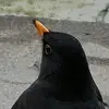 Janet Sass - @janetsass896 - TikTok