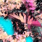 Janet Sass Worobec - @worobecjanetsass - Instagram