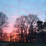 Janet Savard - @janet_d_savard - Instagram