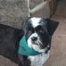 Janet Scharf - Facebook