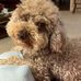 Janet Schick - Facebook