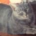Janet Schiffer - Facebook