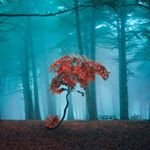 Bαугαm - @janet.schram.319 - Instagram